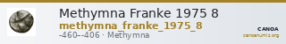 Methymna Franke 1975 8 — CANOA