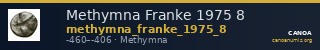 Methymna Franke 1975 8 — CANOA