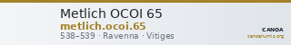 Metlich OCOI 65 — CANOA