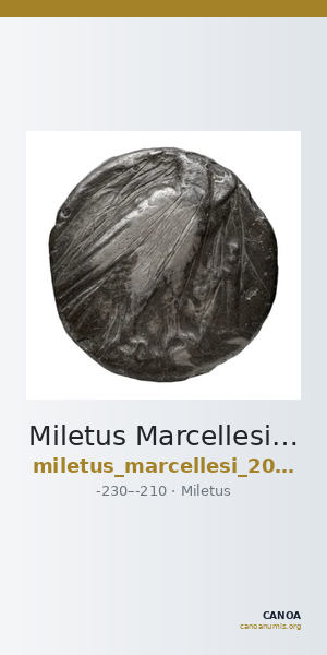 Miletus Marcellesi 2004 36 — CANOA