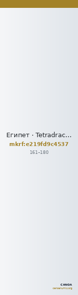 Египет · Tetradrachm · I в. — CANOA
