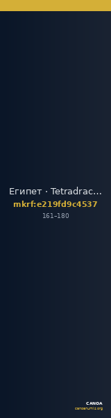Египет · Tetradrachm · I в. — CANOA