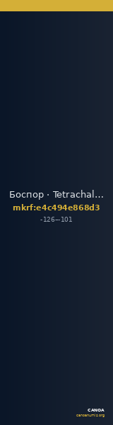 Боспор · Tetrachalkon · II в. до н. э. — CANOA