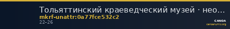 Тольяттинский краеведческий музей · неопределённые — CANOA