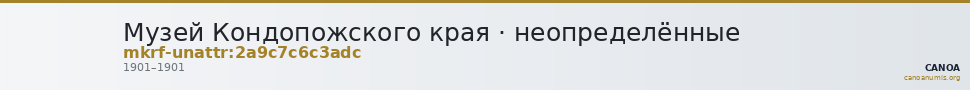 Музей Кондопожского края · неопределённые — CANOA