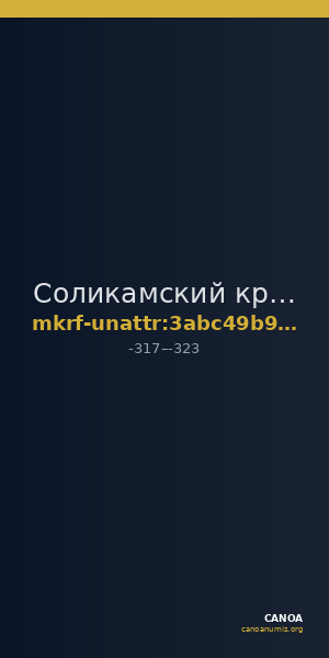 Соликамский краеведческий музей · неопределённые — CANOA