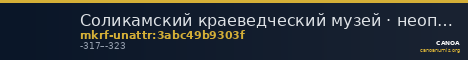 Соликамский краеведческий музей · неопределённые — CANOA