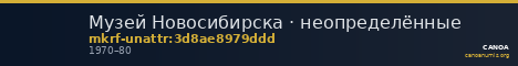 Музей Новосибирска · неопределённые — CANOA