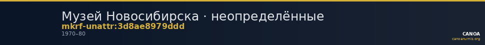 Музей Новосибирска · неопределённые — CANOA