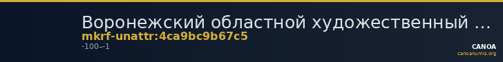 Воронежский областной художественный музей им. И.Н. Крамского · неопределённые — CANOA