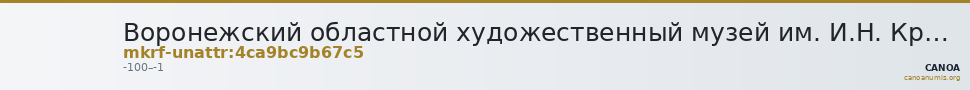 Воронежский областной художественный музей им. И.Н. Крамского · неопределённые — CANOA