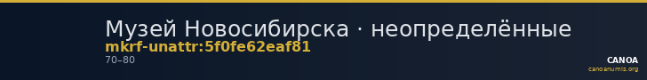 Музей Новосибирска · неопределённые — CANOA