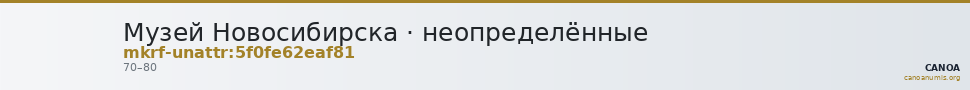 Музей Новосибирска · неопределённые — CANOA