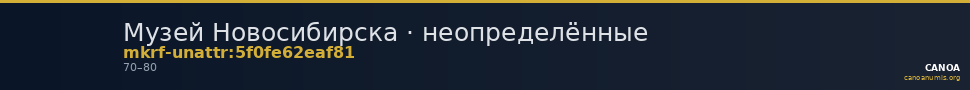 Музей Новосибирска · неопределённые — CANOA