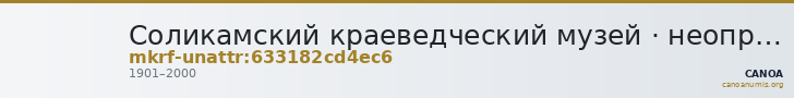 Соликамский краеведческий музей · неопределённые — CANOA