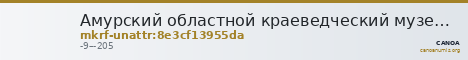 Амурский областной краеведческий музей им. Г.С. Новикова-Даурского · неопределённые — CANOA