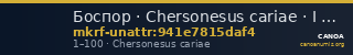 Боспор · Chersonesus cariae · I в. · без определения — CANOA