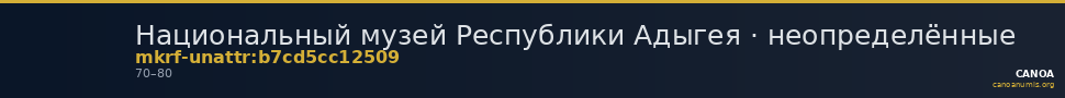 Национальный музей Республики Адыгея · неопределённые — CANOA