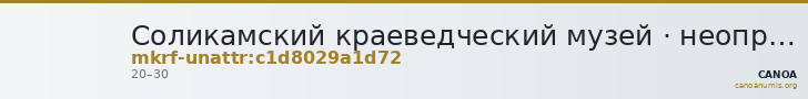 Соликамский краеведческий музей · неопределённые — CANOA