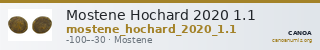 Mostene Hochard 2020 1.1 — CANOA