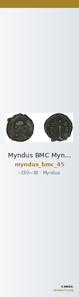 Myndus BMC Myndus 45 — CANOA