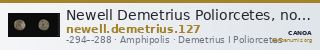 Newell Demetrius Poliorcetes, no. 127 — CANOA