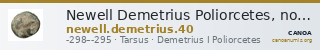 Newell Demetrius Poliorcetes, no. 40 — CANOA