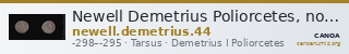 Newell Demetrius Poliorcetes, no. 44 — CANOA