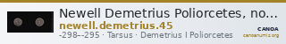 Newell Demetrius Poliorcetes, no. 45 — CANOA