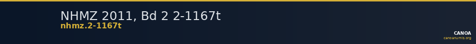 NHMZ 2011, Bd 2 2-1167t — CANOA