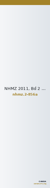 NHMZ 2011, Bd 2 2-856a — CANOA