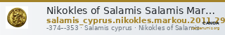 Nikokles of Salamis Salamis Markou 2011 294-300 — CANOA