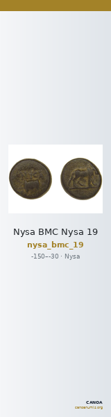 Nysa BMC Nysa 19 — CANOA