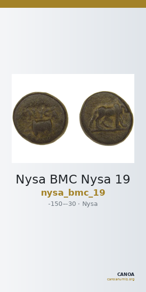Nysa BMC Nysa 19 — CANOA