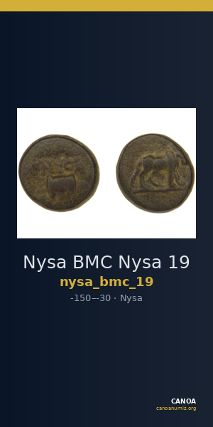 Nysa BMC Nysa 19 — CANOA