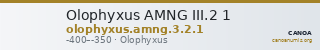 Olophyxus AMNG III.2 1 — CANOA