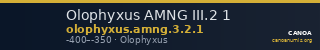 Olophyxus AMNG III.2 1 — CANOA