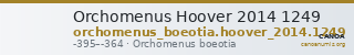 Orchomenus Hoover 2014 1249 — CANOA