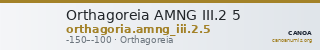 Orthagoreia AMNG III.2 5 — CANOA