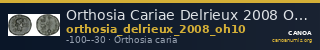 Orthosia Cariae Delrieux 2008 OH10 — CANOA