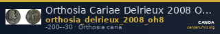 Orthosia Cariae Delrieux 2008 OH8 — CANOA