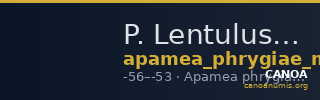 P. Lentulus P.f., governor of Cilicia Apamea in Phrygia Metcalf 2017 IV — CANOA