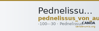 Pednelissus von Aulock 1977 1176-80 — CANOA