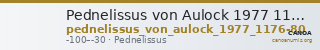Pednelissus von Aulock 1977 1176-80 — CANOA