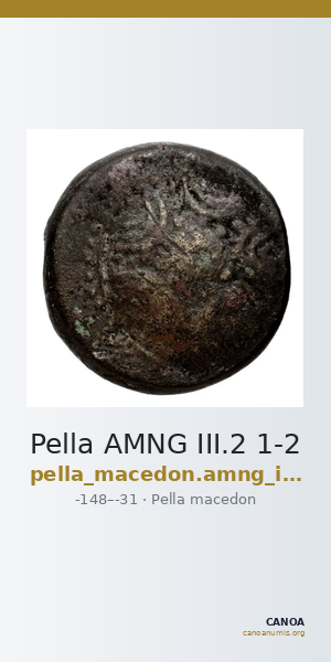 Pella AMNG III.2 1-2 — CANOA