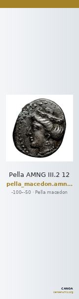 Pella AMNG III.2 12 — CANOA