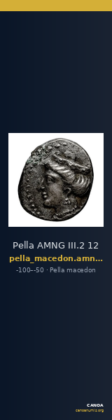 Pella AMNG III.2 12 — CANOA