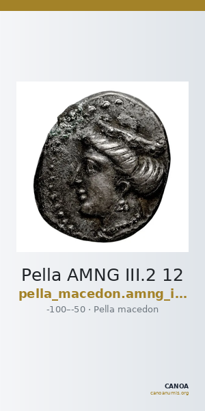 Pella AMNG III.2 12 — CANOA