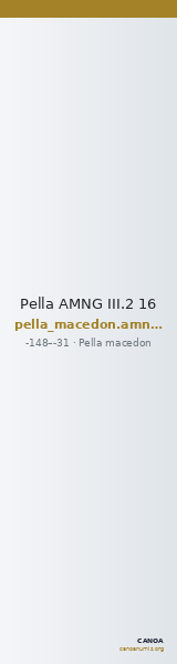 Pella AMNG III.2 16 — CANOA
