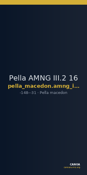 Pella AMNG III.2 16 — CANOA